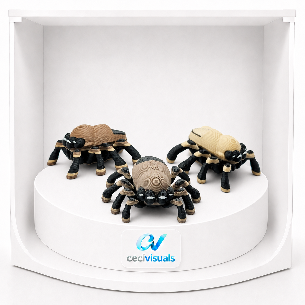 Araña saltarina