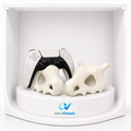 Soporte calavera Cubone